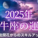 【12星座占い】2025年牡牛座の運勢