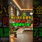 怖いほどお金を呼び込む観葉植物7選 #金運 #開運 #観葉植物 #風水 #フルバージョン