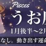 うお座♓️2025年1月後半〜2月前半🌝すごい流れ来る！劇的な転換、箱の蓋が開いていく高揚感、一緒に味わう、ハッピーエンド