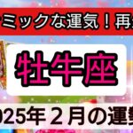 牡牛座【2025年２月の運勢】ダイナミックな運気！再生復活💖神秘的メッセージ👑幸せを呼び込む！開運リーディング🌟