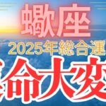 【蠍座】2025年総合運　さそり座さん　ワクワクします！【運命大変化】の年