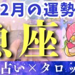 【2月運勢 魚座】最強運気やってきてます！毎日頑張ってるうお座さんへハッピーエールをお届け🥳💕【占い・タロット・2025】