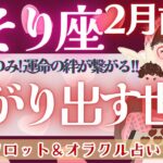 【さそり座】夢も希望も叶えられる！！蠍座さんが創る、優しい愛の世界♥️【仕事運/対人運/家庭運/恋愛運/全体運】2月運勢  タロット占い