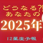 【2025年の乙女座♍️】12の星座予報🌈あなたに起こる事を未来読みしました🌟