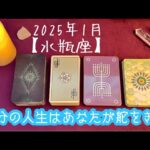 【水瓶座】2025年1月の運勢★あなたの人生ご自身が舵をきることで良いご縁に恵まれる‼️こつこつ頑張ってきたあなたにチャンス到来✨感情を表に出して表現しよう😌