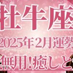 【おうし座】2月運勢　安心してね😊もう心配いらないよ、癒しと安心の時間が訪れます🌈幸運の鍵は、身体と心をしっかりと休めること【牡牛座 ２月】タロットリーディング