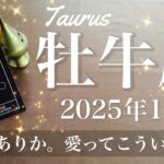 【おうし座】2025年1月♉️ 希望の1番星！ここからはっきり！やっぱりそこには愛がある、自分を守る境界線、表と裏、その真ん中