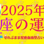 ２０２５年の魚座の運勢　新しい年に、貴方には、どんな変化があるでしょうか。星の動きから、２０２５年の星座の運勢を探っていきましょう。星座占いと血液型占いでわかる 性格と相性 せれぶまま星座血液型占い