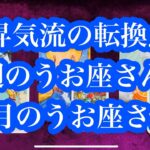 絶好調です！今年を象徴するかのような好調ぶり！今週のうお座&1月のうお座さん。This week’s Pisces & January’s Pisces.