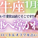 【牡牛座】個人鑑定級！！今、お辛い方、これから変わります！！受け取って下さい💖【仕事運/対人運/家庭運/恋愛運/全体運】1月運勢  タロット占い