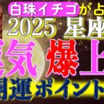 ★忖度なし★2025年星座別・運気爆上げ開運ポイント！！