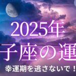 【12星座占い】2025年双子座の運勢