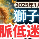 【獅子座】2025年1月後半しし座さん…人脈停滞、孤独…の理由とヒントとは?!開運メッセージをお届け！