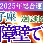 【獅子座】2025年しし座の運勢は？星とカードが導く獅子座の未来への道しるべ！