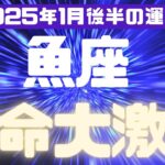 【魚座】2025年1月後半のうお座の運勢