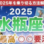 【2025年運勢】水瓶座の運勢「○○最高！○○要注意！波乱の2025年を乗り切る方法を解説！」