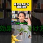 運気を上げる観葉植物#風水 #金運 #金運アップ #建築 #八納啓創