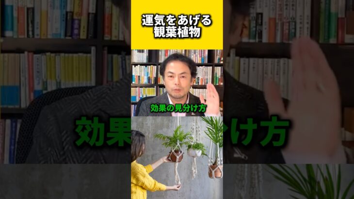 運気を上げる観葉植物#風水 #金運 #金運アップ #建築 #八納啓創