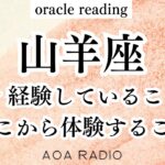 【山羊座♑︎】今経験してること 心と繋げて紐解く オラクルカードからのメッセージ