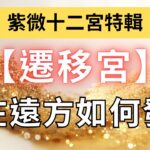 紫微十二宮之【遷移宮】看運在遠方，要如何發財？麥可大叔30年紫微斗數算命命理老師