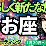 【魚座】♓️2025年1月20日の週♓️重荷を降ろし、軽やかに。メッセージが降りてくるとき。私らしく新たな旅へ。うお座。タロット占い