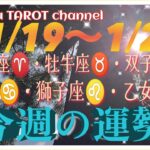 どうなる⁉️【1/19〜1/25週間リーディング】牡羊座♈️牡牛座♉️双子座♊️蟹座♋️獅子座♌️乙女座♍️#2025 #タロット占い #星座別