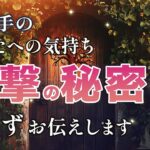 あの人のあなたへの本音❤️知られたくない秘密🦢本音、気持ち、片思い、両思い【男心タロット、細密リーディング、個人鑑定級に当たる占い】