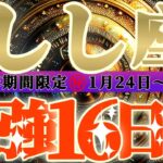 最強16日間【獅子座♌️】これをやれば絶対に最強の運勢になるよ！！　逆にこれをやったら最悪になっちゃう事もリーディングするよ！！【初天一天上】神々のシナリオシリーズ　#タロット占い