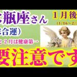 【水瓶座の総合運】2025年1月16日から2月15日までのみずがめ座の総合運。#水瓶座 #みずがめ座