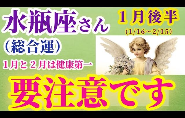 【水瓶座の総合運】2025年1月16日から2月15日までのみずがめ座の総合運。#水瓶座 #みずがめ座