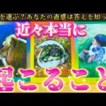 【神展開起きる‼️】運命の人💗・再会・天職・覚醒✨あなたに起こるのはどれ？？　恋愛・仕事・復縁　タロット占い