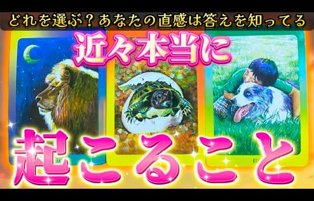 【神展開起きる‼️】運命の人💗・再会・天職・覚醒✨あなたに起こるのはどれ？？　恋愛・仕事・復縁　タロット占い