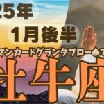 ❤️🕊️【おうし座♉さん】🌄《1月16日～1月31日》1月後半リーディング🌱2025年12星座別🔮牡牛座運勢✨♠ルノルマンカードグランタブロー♠タロットカード・オラクルカードもみていきましょう🔮