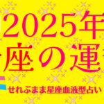 ２０２５年の蟹座の運勢　新しい年に、貴方には、どんな変化があるでしょうか。星の動きから、２０２５年の星座の運勢を探っていきましょう。星座占いと血液型占いでわかる 性格と相性 せれぶまま星座血液型占い