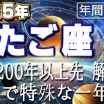 【2025 ふたご座】2025年双子座の運勢　次は200年以上先！解放感　特別で特殊な一年