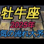 【牡牛座 2025年運】なにこれー🤣🤣運気の流れハンパない😳‼️✨2月3月頃からかなり絶好調になっていきますね✨達成の2025年です✨