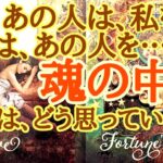 【魂レベルのリーディング】二人も気づいていない✡️高次元での☯️本当の想い