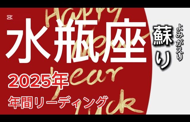 水瓶座♒️の2025年どうなる？　蘇る⚡️㊗️