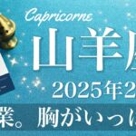 【やぎ座】2025年2月♑️ 完結！長かった旅の終わり、ここからは一歩前へ、これまでとは違う道、新しいプラットフォーム