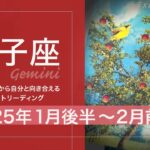 【ふたご座】色々あるけど目星がつきそう●2025年1月後半から2月前半　タロットリーディング【音声なし】【双子座】