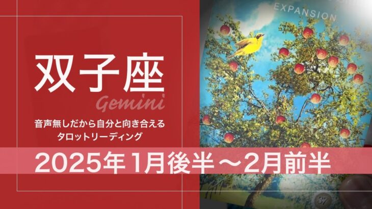 【ふたご座】色々あるけど目星がつきそう●2025年1月後半から2月前半　タロットリーディング【音声なし】【双子座】