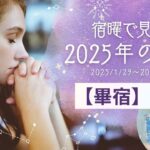 【宿曜占い】畢宿の2025年運勢