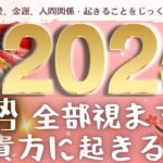 2025年上半期貴方に起きること＊迎春＊運勢、全貌視ました・4択 総合運、仕事運 恋愛運 金運 人間関係 個人鑑定級・タロットリーディングもしかして視られてる？タロットカード・2025年の運勢占い