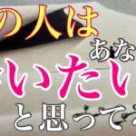 あの人は会いたいと思ってる？恋愛・復縁・サイレント・複雑恋愛【タロット・オラクル・ルノルマン】