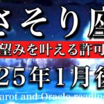 さそり座♏︎2025年1月後半 もう許してOK🪽自分の望みを叶える許可を下す🔥Scorpio tarot reading