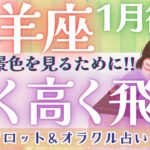 【山羊座】何やら楽しそう👀！？新展開がやって来る！！ NEW！山羊座さん爆誕です✨🎉✨【仕事運/対人運/家庭運/恋愛運/全体運】1月運勢  タロット占い