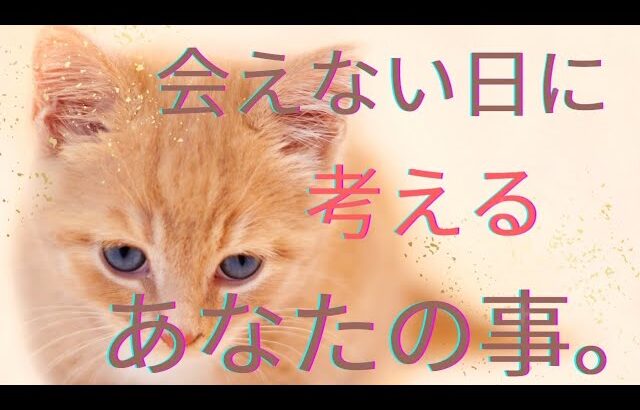 衝撃告白❤️会えない日に考えるあなたの事。怖いくらい当たる❤️恋愛タロット占い ルノルマン オラクルカードリーディング