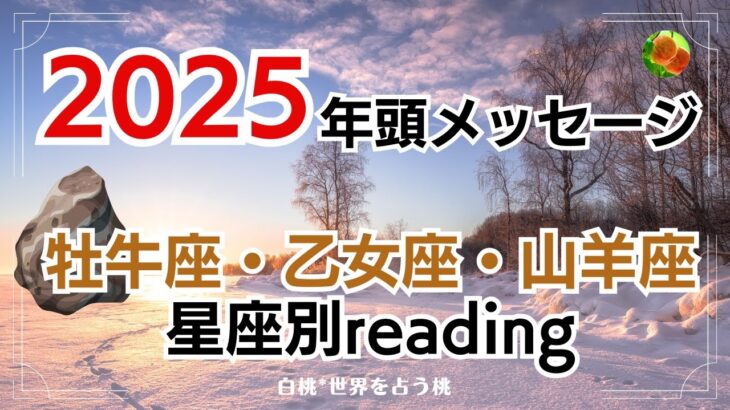 ♉牡牛座♍乙女座♑山羊座★2025年へのメッセージ　※タイムスタンプから各星座へ飛んでください。