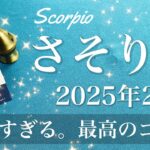 【さそり座】2025年2月♏️ めでたくゴール！やっと終える喜び！希望が照らすスタート地点、新しい旅、始まる