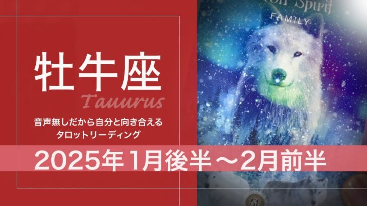 【おうし座】鼻歌を歌いながら〜♪ご機嫌●2025年1月後半から2月前半　タロットリーディング【音声なし】【牡牛座】